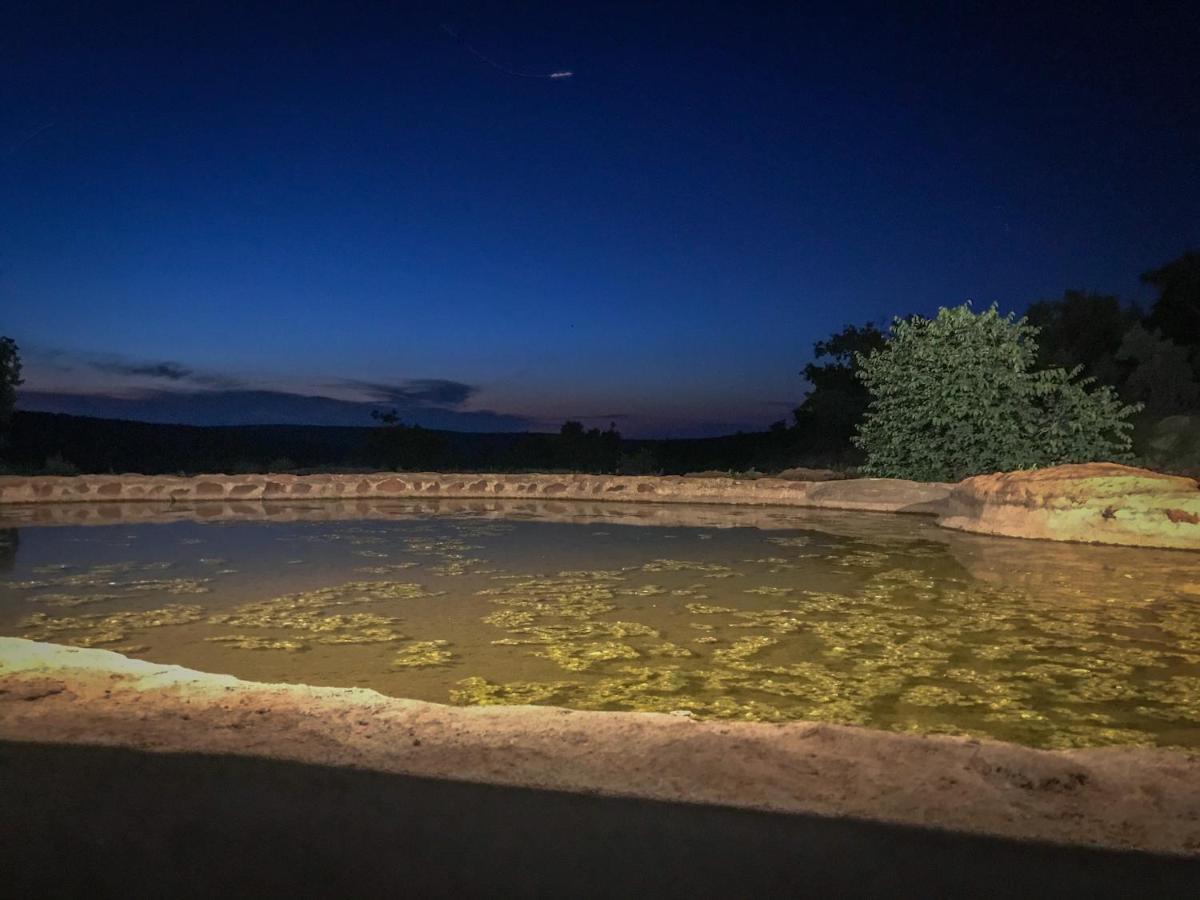 Laluka Safari Lodge - Welgevonden Game Reserve Eksteriør bilde